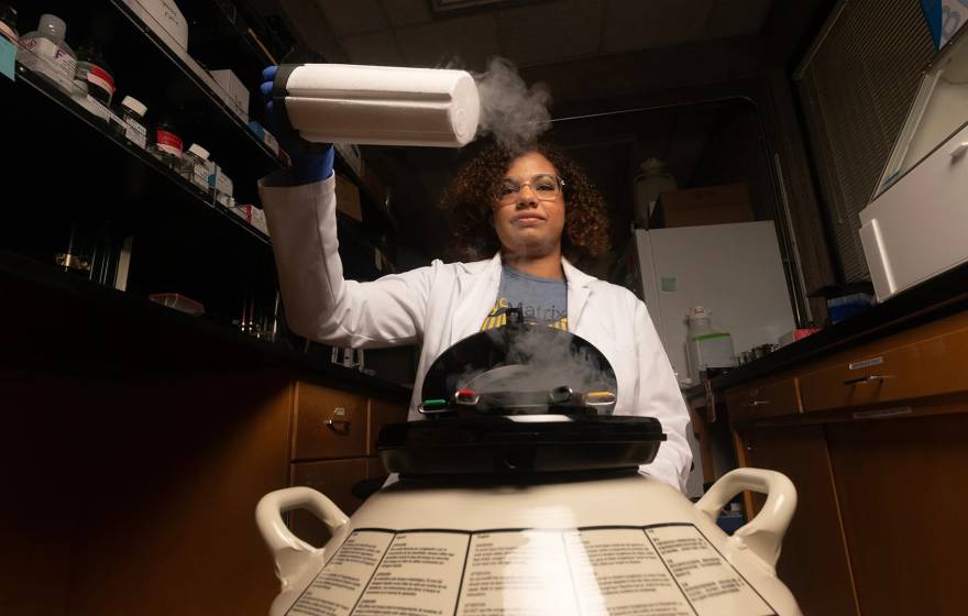 A young woman graduate student with curly hair pulls out a nitrogen storage cylinder and holds it over a piece of equipment