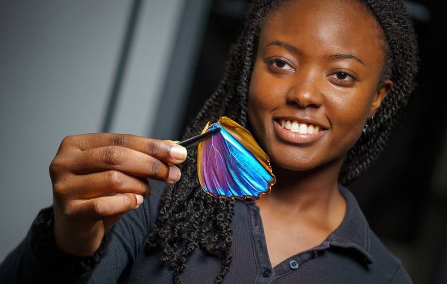 Young woman with braids smiling holds up a Morpho butterfly