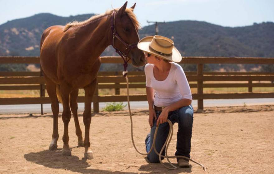 El Campeon Farms horses UC Santa Cruz