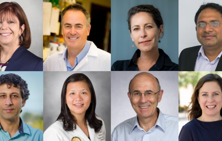 A collage of 8 UC San Diego professor headshots