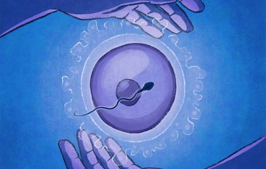 Illustration of hands circling an egg with a sperm crossing it