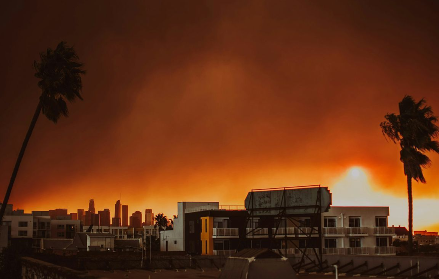 A dark orange sky with a palm tree, back of a billboard, and apartment complex in the foreground, Los Angeles skyline behind