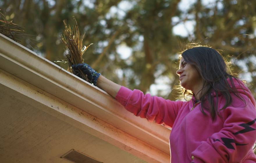 Woman cleans a handful of pine needles from her gutter