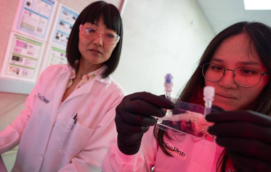 Cancer stem cells Two women in lab coats in a lab with reddish lighting in the corner; one holds and looks at a small baggie