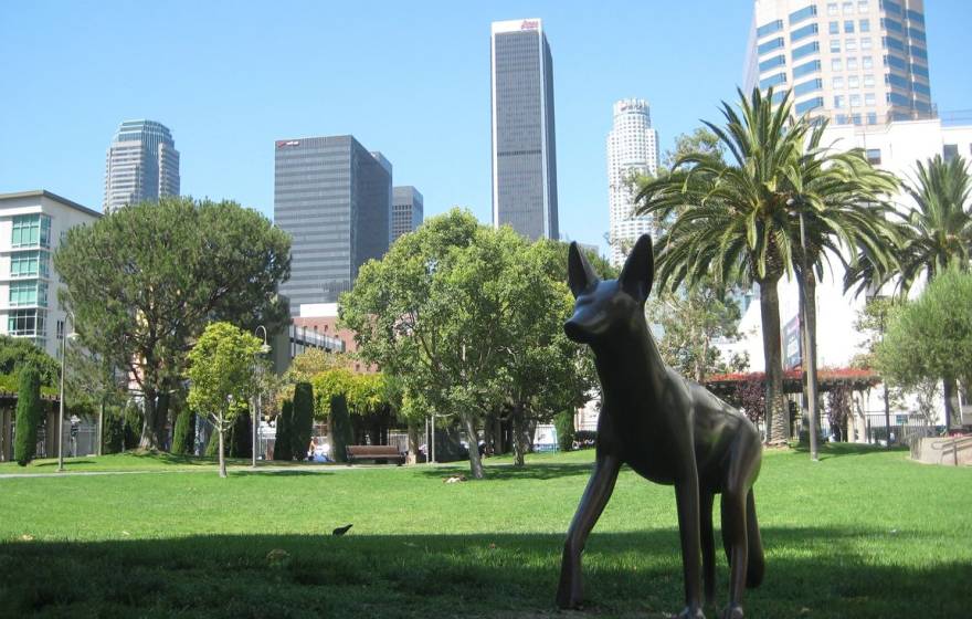 View of an urban LA park with a coyote statue