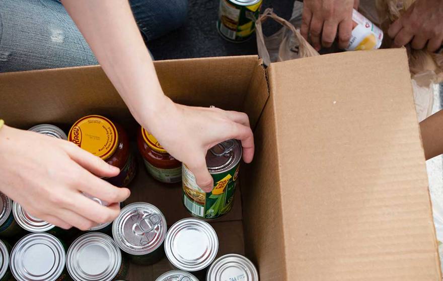 hands inside a box, organizing food donations