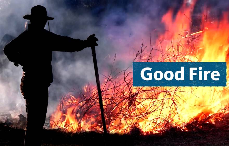 A person standing next to a cultural burn with the text 'Good Fire' over the fire