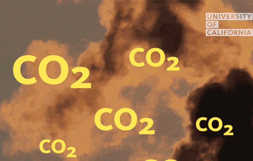 CO2 floating in a cloud of smoke