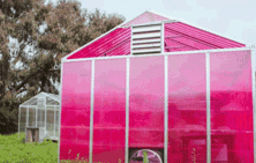 Pink solar greenhouse images