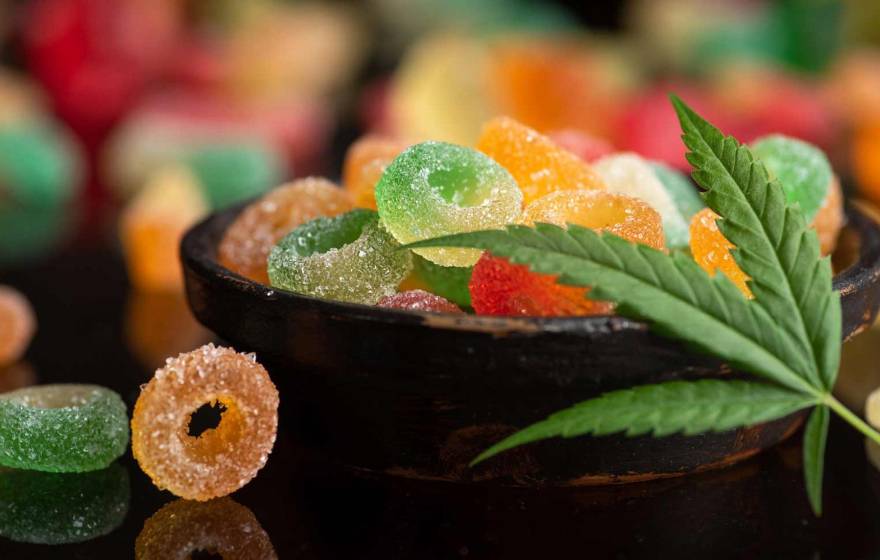 Gummies or edibles A bowl of gummies with a marijuana leaf draped over it
