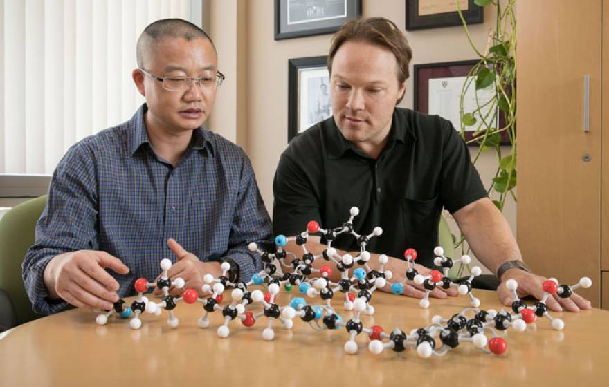 UCLA molecules Harris