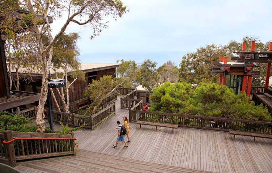 Two students walk on a beautiful campus patio