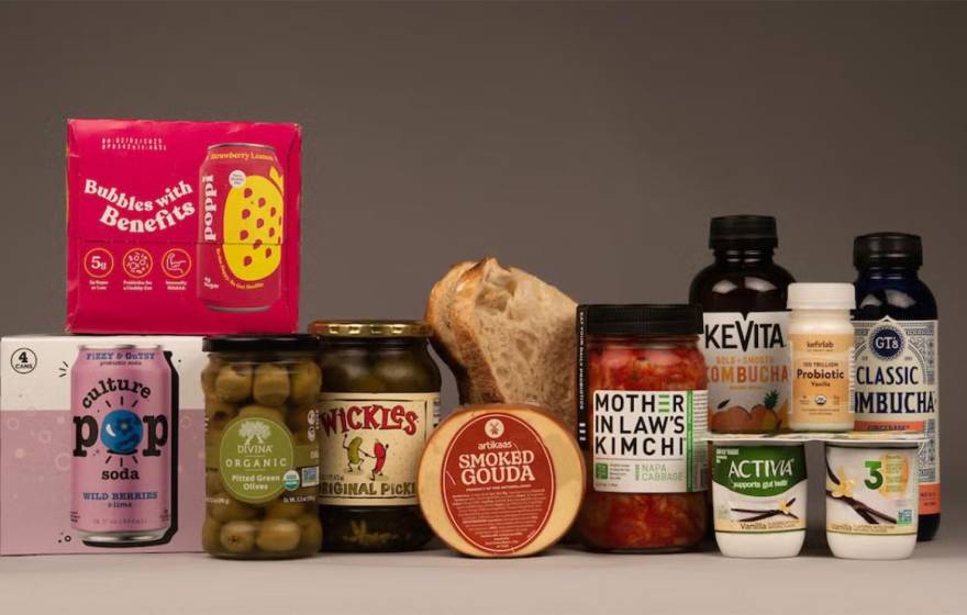 An arrangement of probiotic grocery products on a gray background