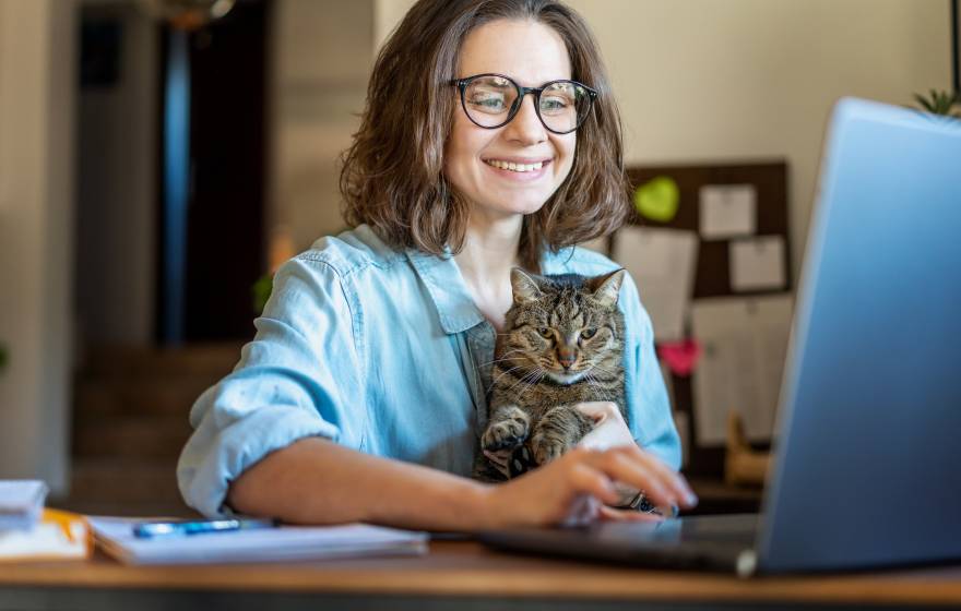 Telehealth for cats Happy young business woman with glasses working using laptop from home, sitting with pet cat in her arms