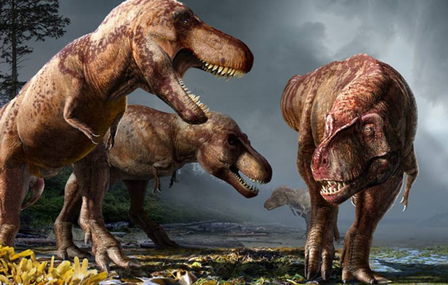 T. Rexes together, millions of years ago, illustration