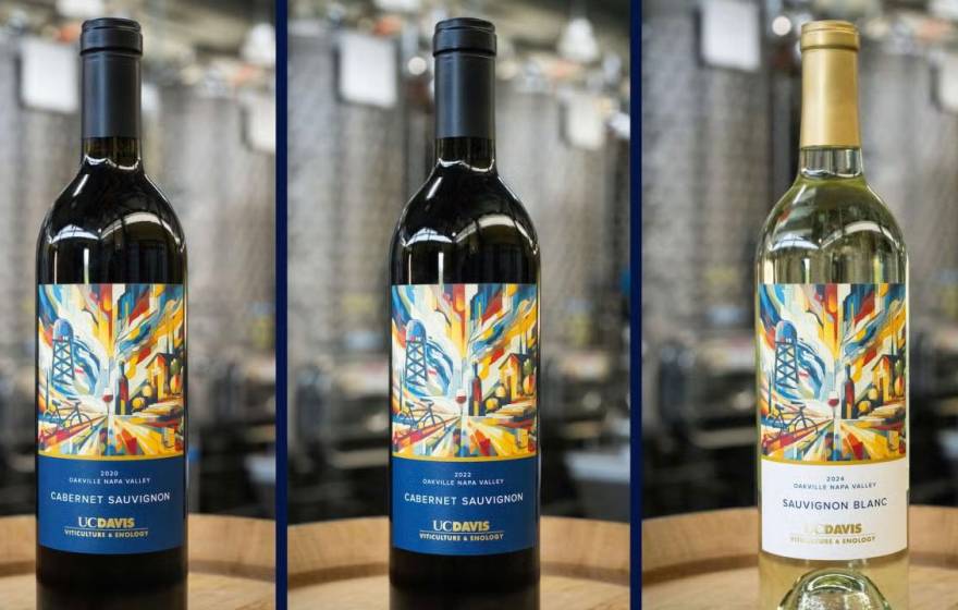 UC Davis wine label Three wine bottles, two red, one white