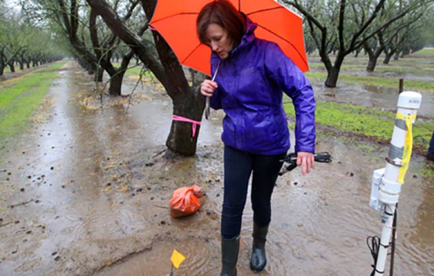 UC Davis professor Helen Dahlke