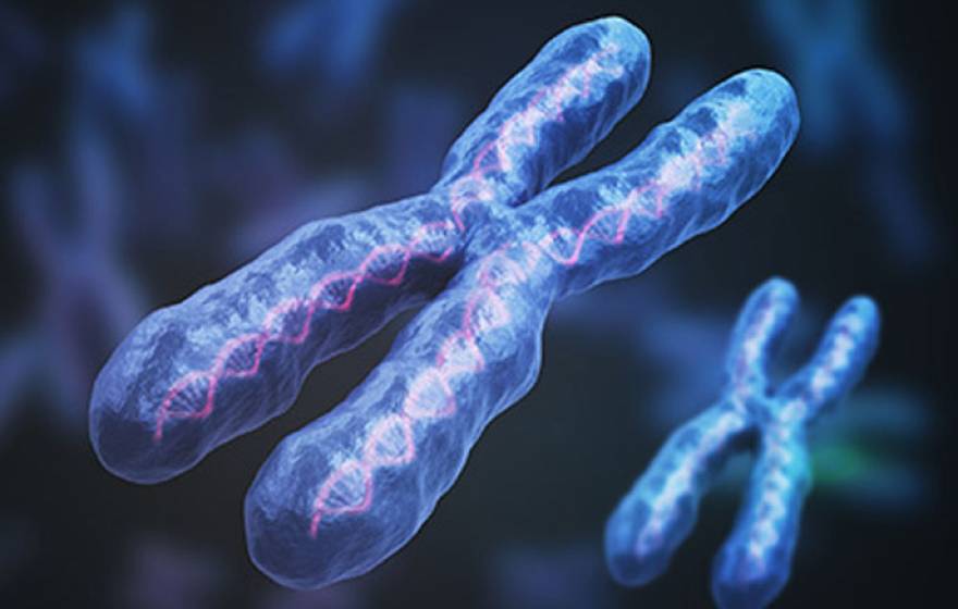 X chromosome floating in blue background