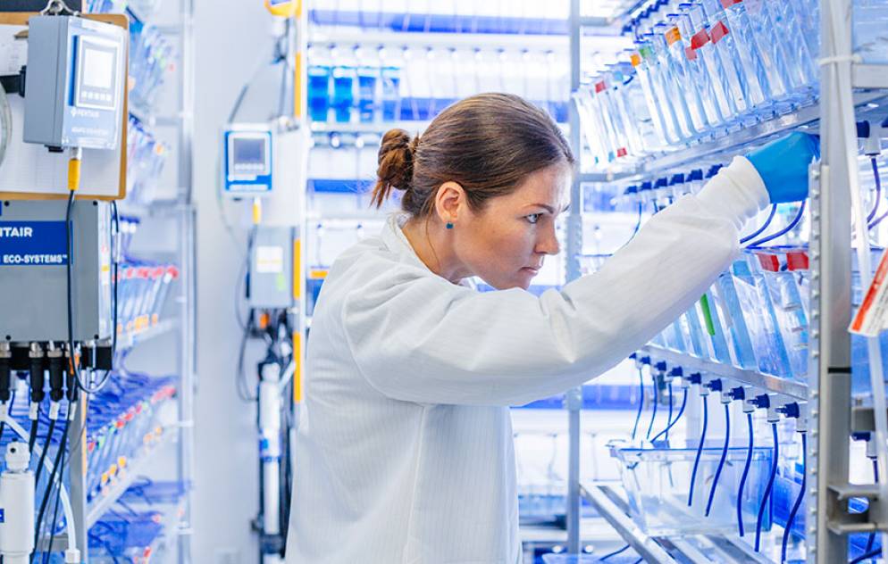 Woman in lab coat, looking at samples