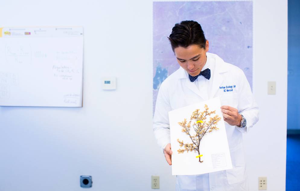 Man holds up branch on paper in ecology lab at UC Merced