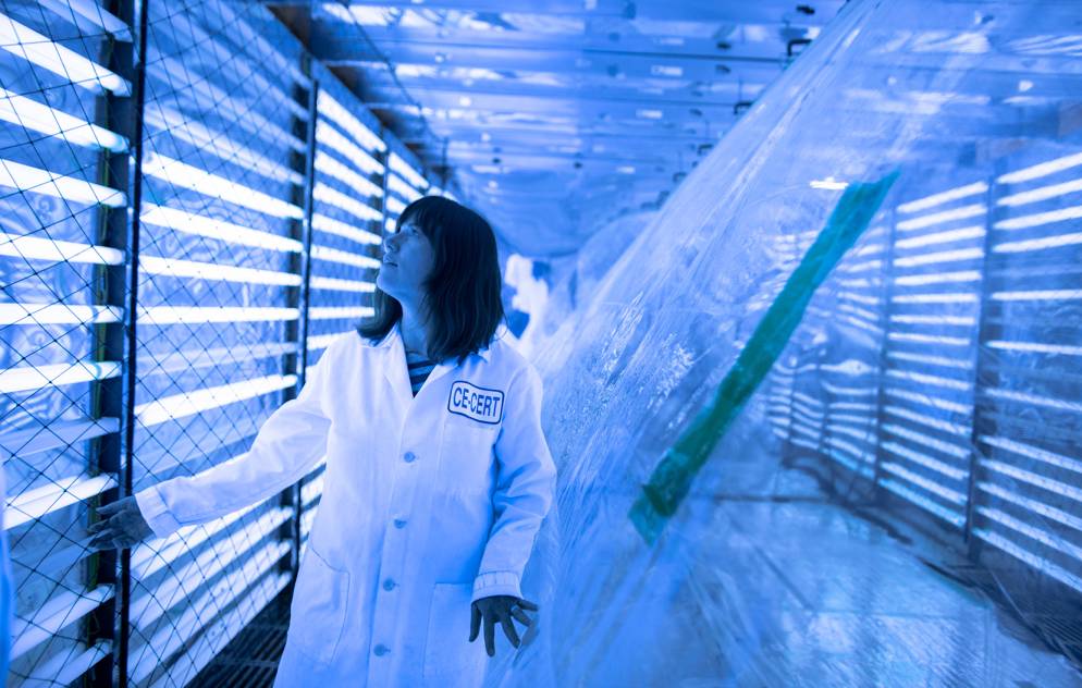 Woman with shoulder-length brown hair and lab coat in a lab lit by blue light with a plastic sheet covering one wall