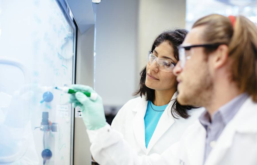 Two researchers in a lab setting writing on a glass wall. 