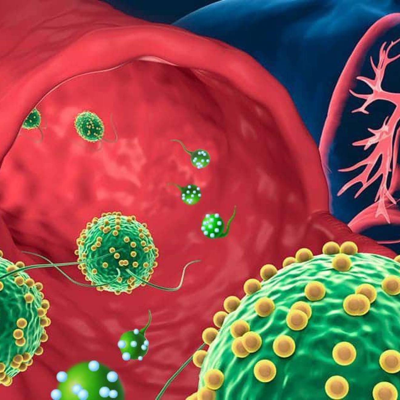 Microbots illustrated algae-based microrobots dotted with drug-loaded nanoparticles on their way into the lungs