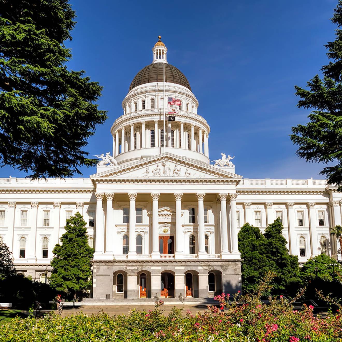 The California State Capitol Building on a blue sky day, with plants and trees out front