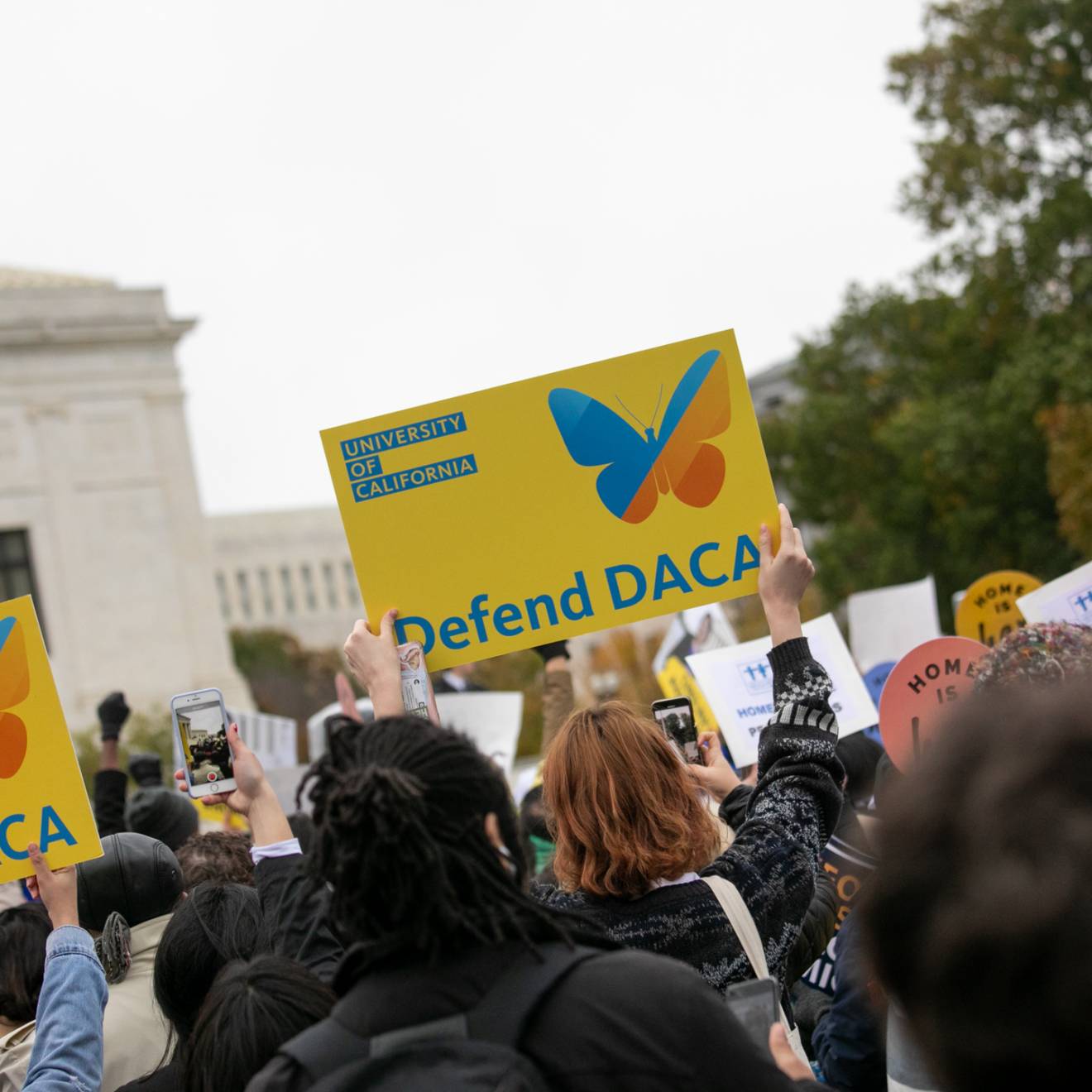 Defend DACA signs at a rally