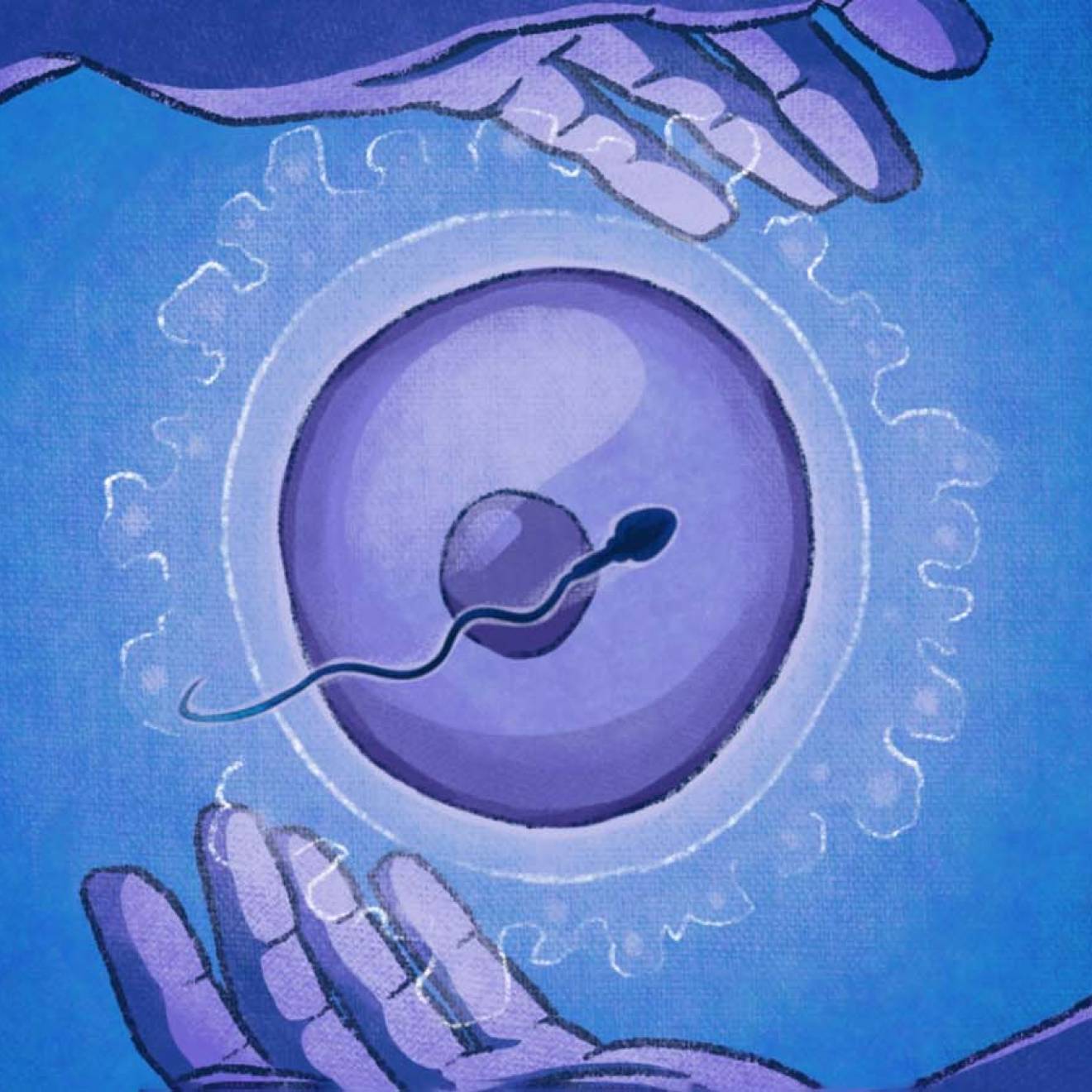 Illustration of hands circling an egg with a sperm crossing it