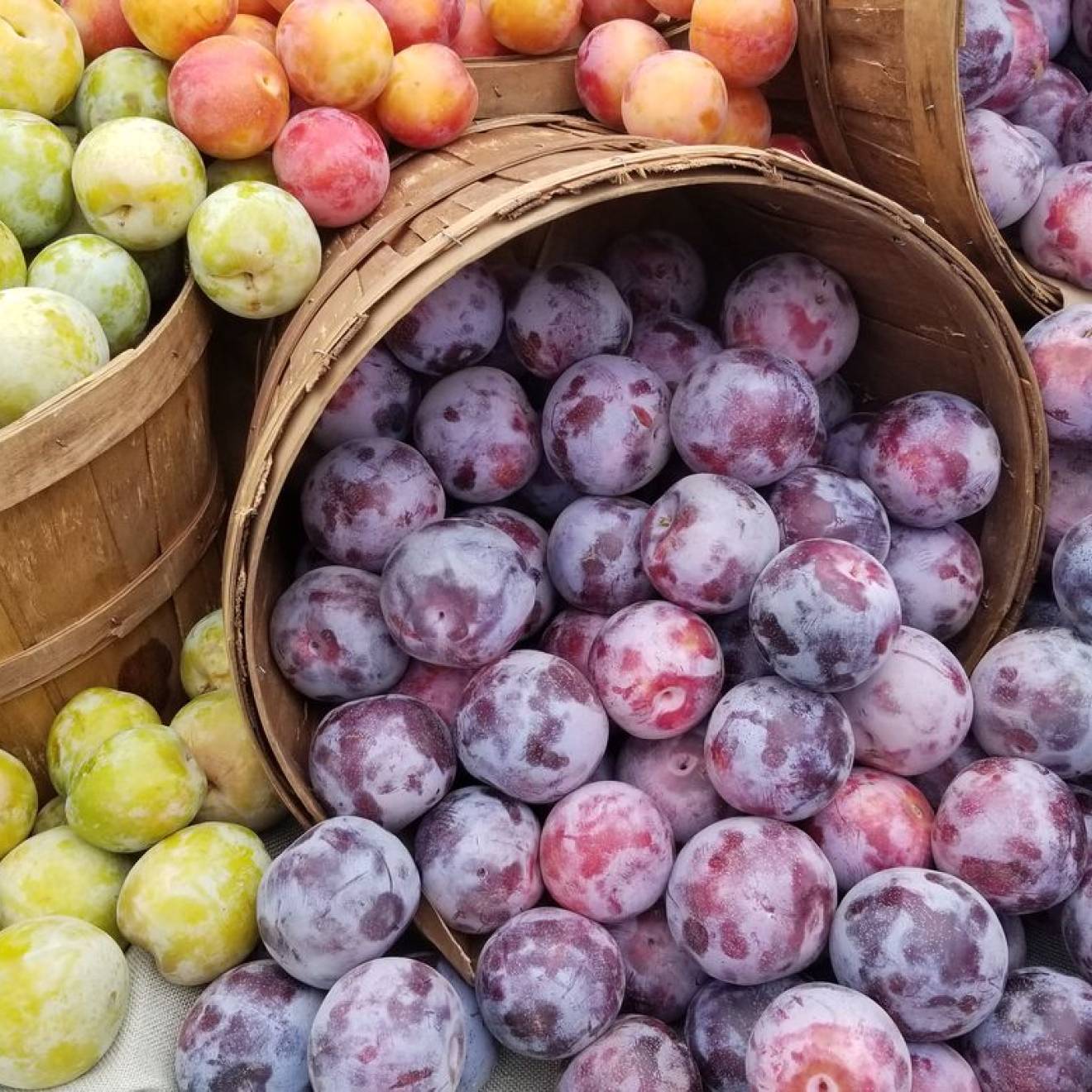 Fruit at a farmer's market