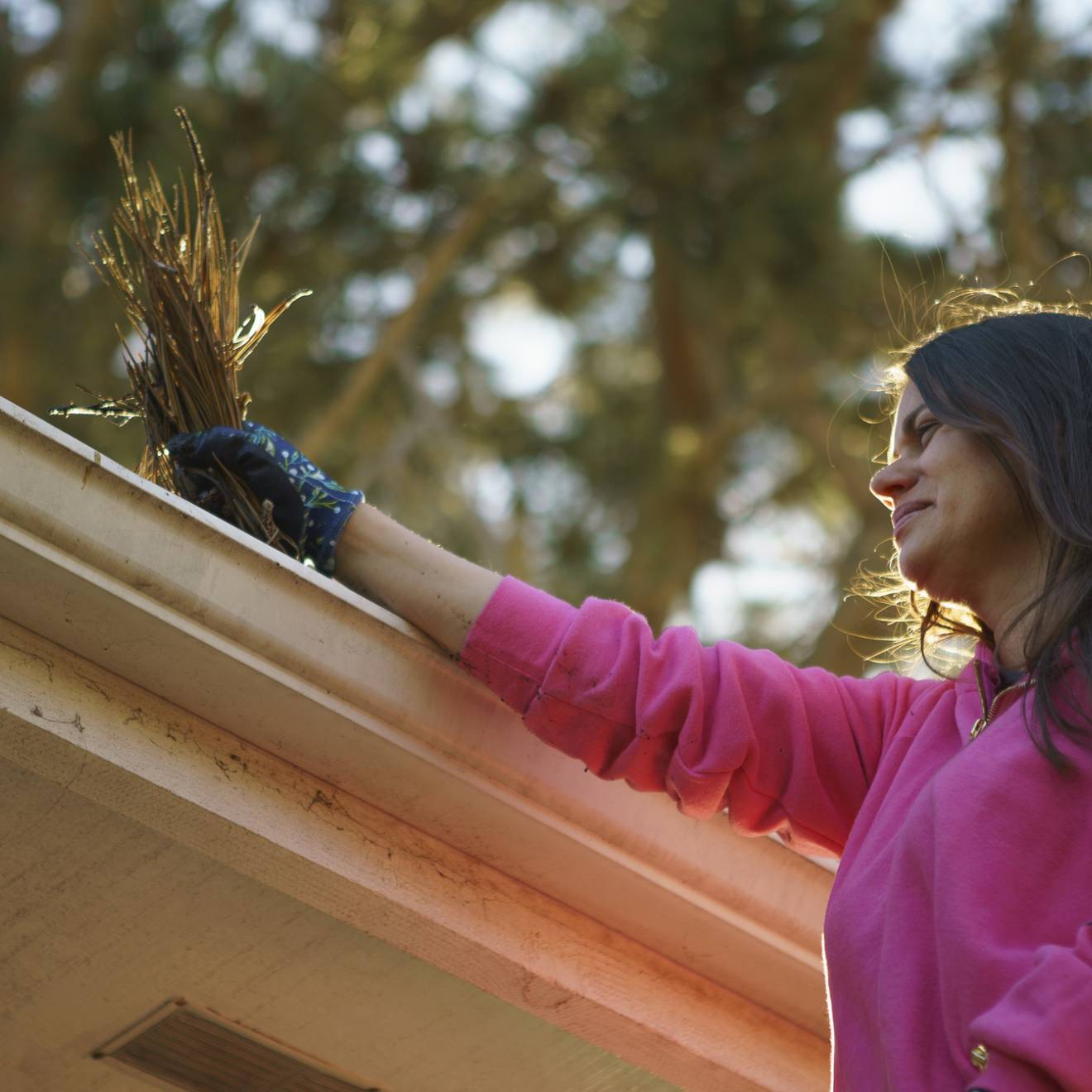 Woman cleans a handful of pine needles from her gutter