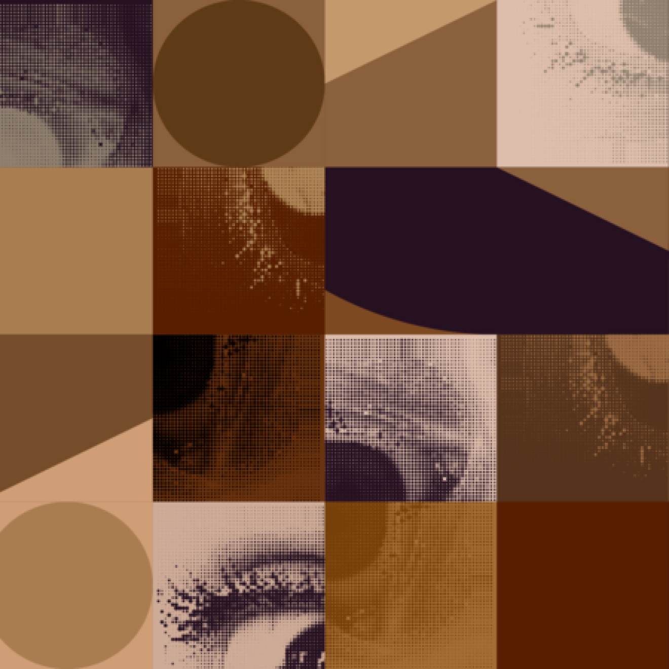 Brown mosaic of panels and eyes