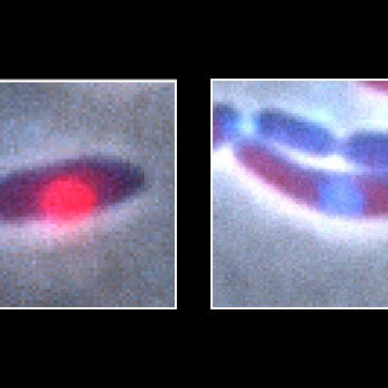 Two images, one of a purple oval with a pink dot on it, and one of two blueish, ovalish shapes on top of one another