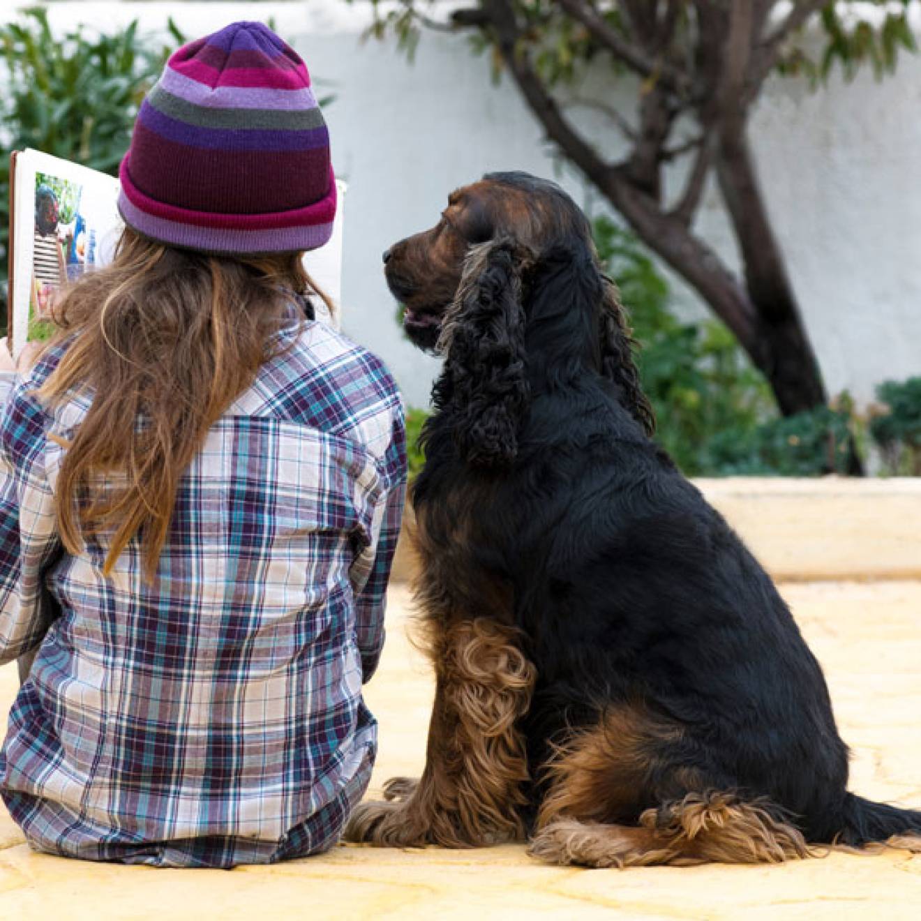 Child reading to a dog
