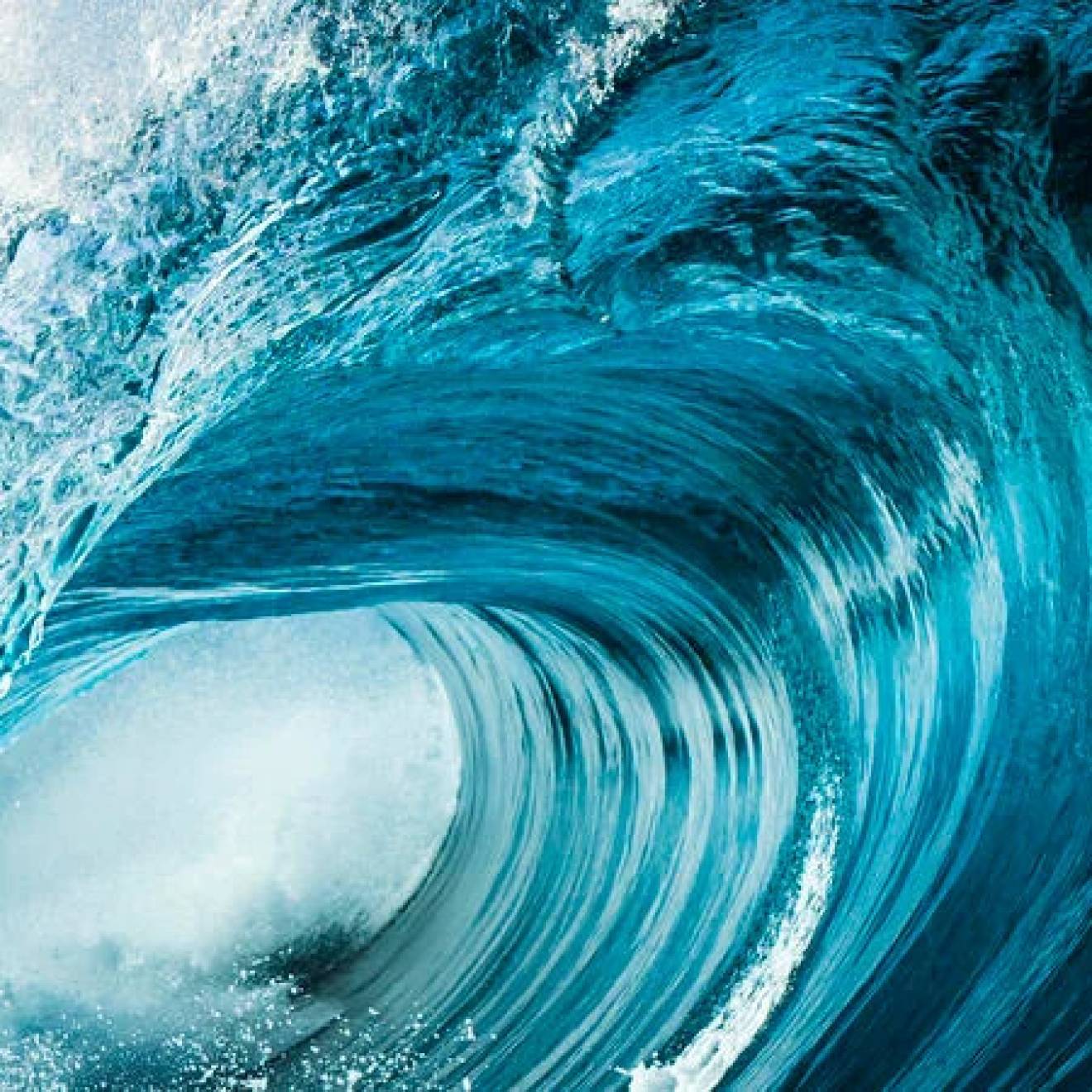 A very blue ocean wave about to crash, seen from the side
