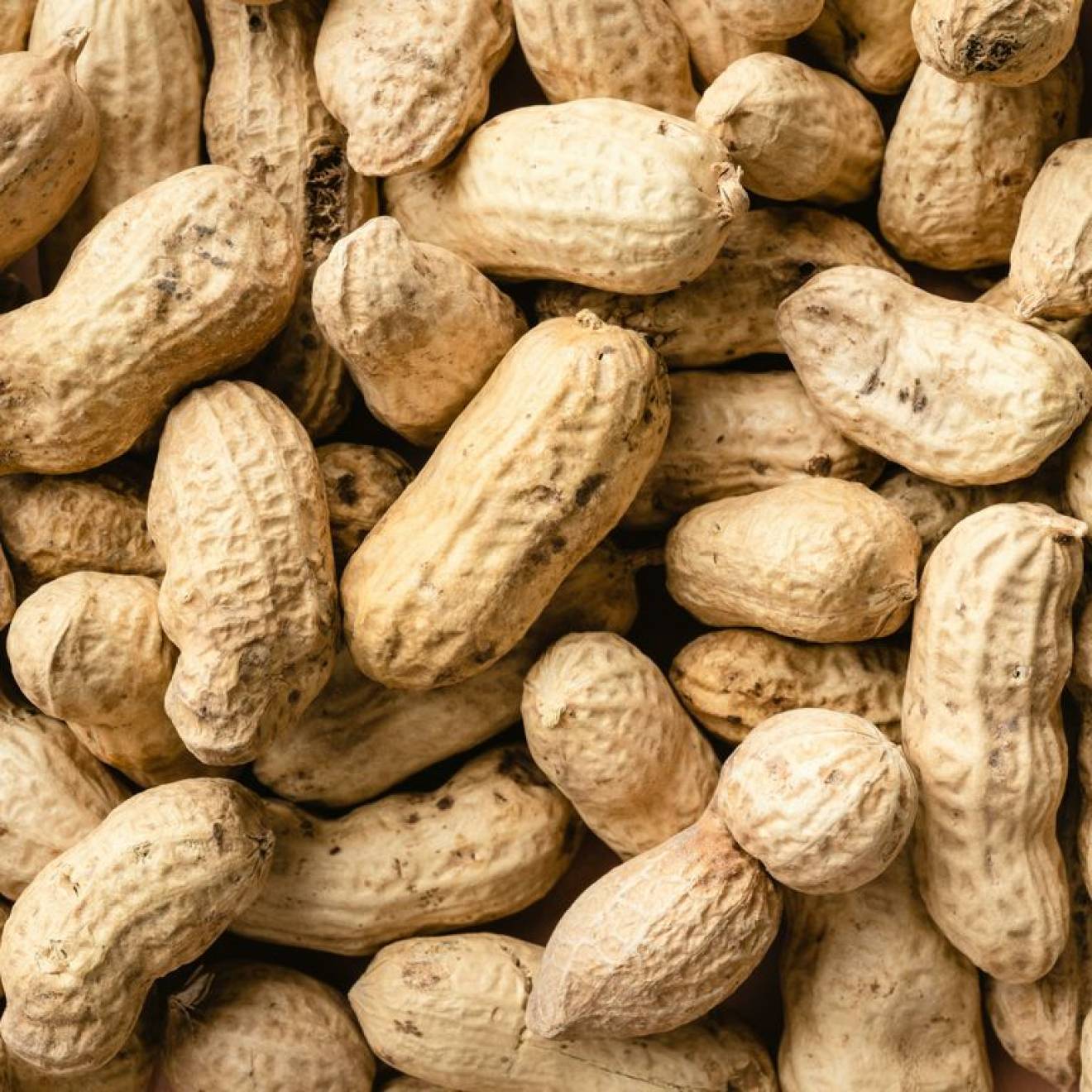 Peanuts Peanuts in their shells