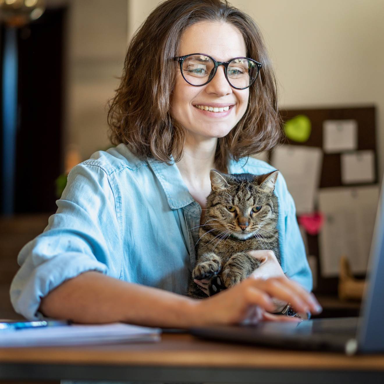 Telehealth for cats Happy young business woman with glasses working using laptop from home, sitting with pet cat in her arms
