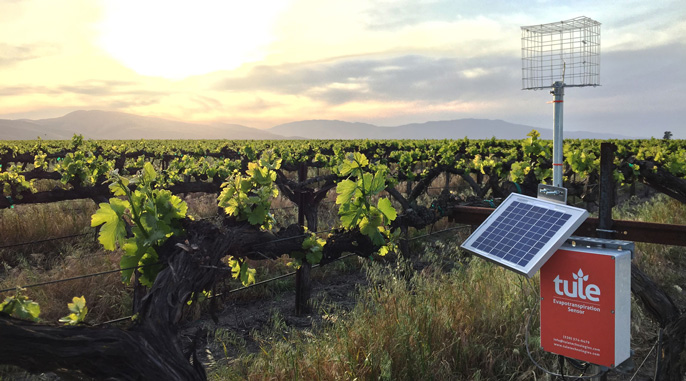 Tule Technologies insatallation in a California vineyard