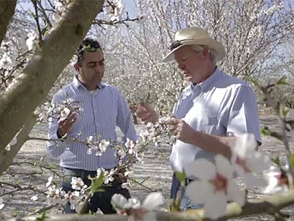 farmers in orchard