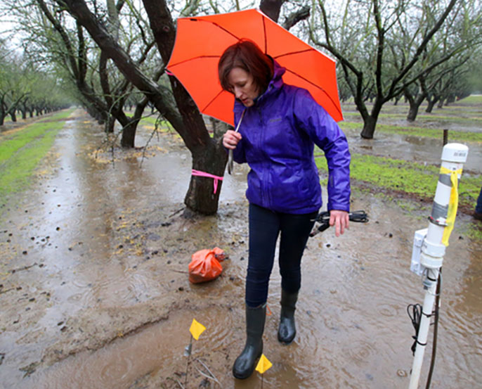 UC Davis professor Helen Dahlke