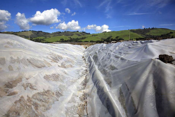 Watsonville rainwater